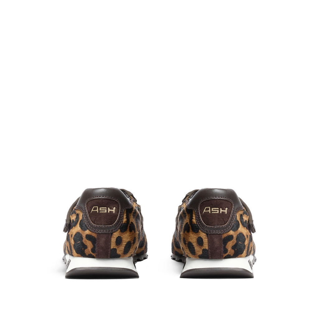 KORE BIS Pony Leopard Brown/T.Moro