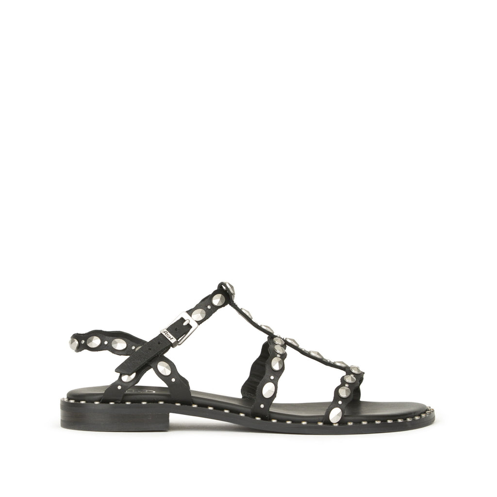 PLUS Soft Brasil Black