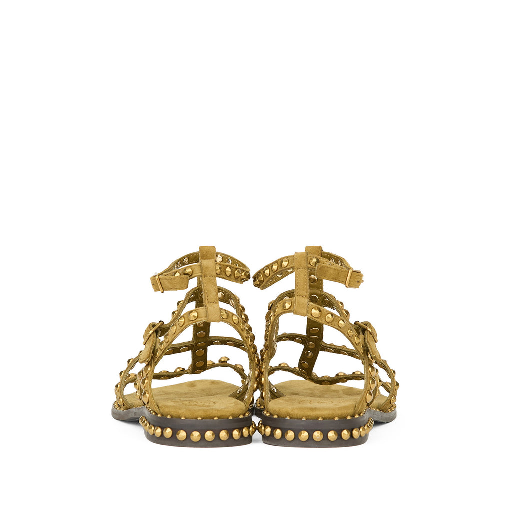 PRECIOUS Cachemere Fir Green