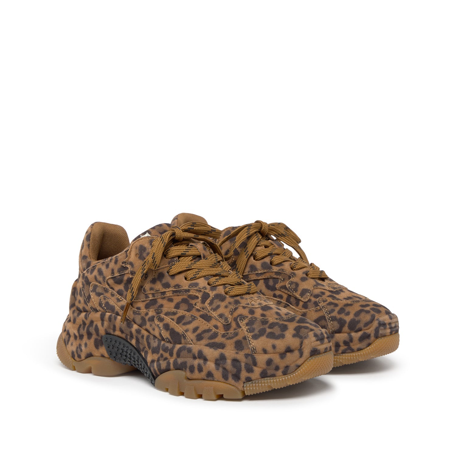ADDICT BIS Suede Leopardo Wild - ASH Spain - FW25-S-151356-002