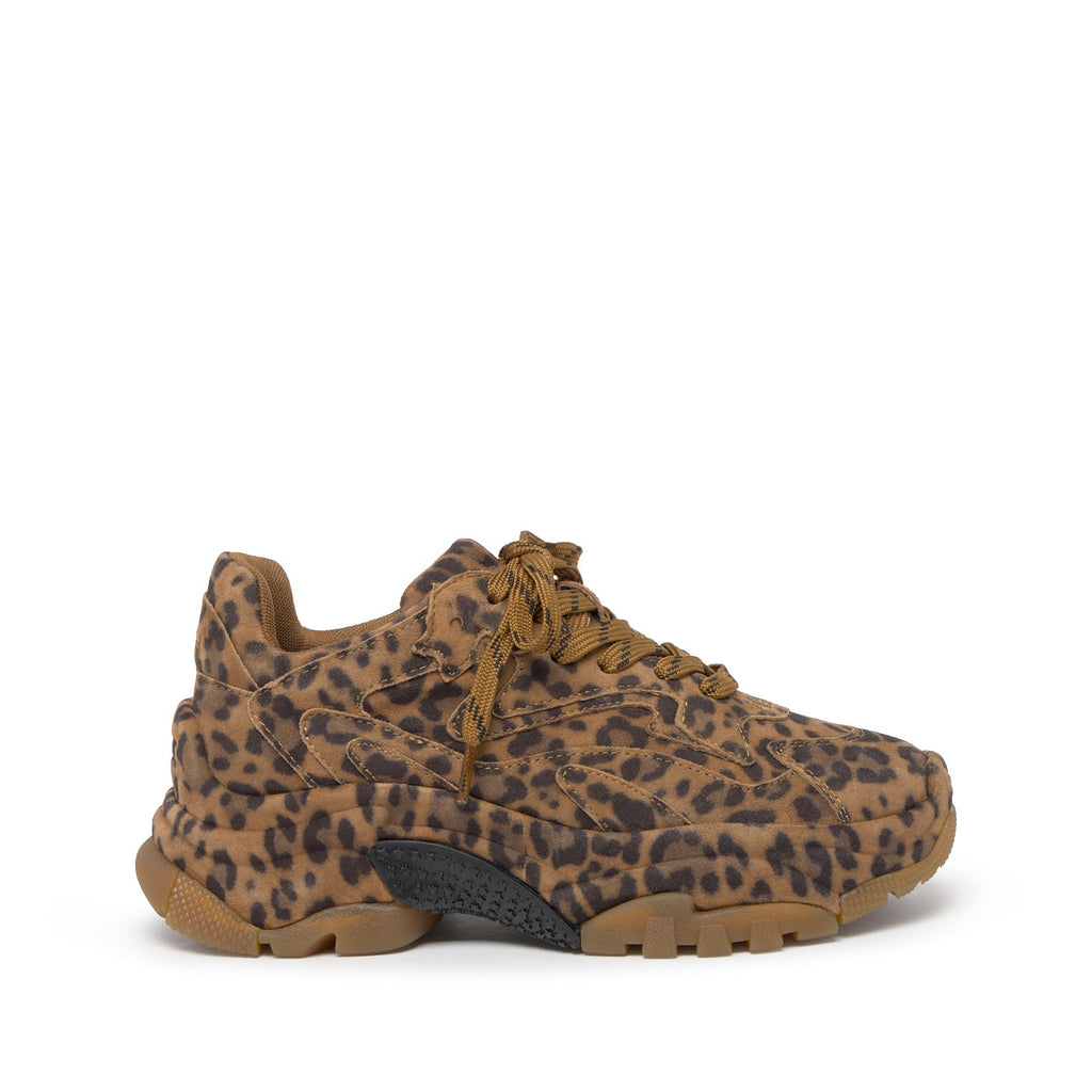 ADDICT BIS Suede Leopardo Wild - ASH Spain - FW25-S-151356-002