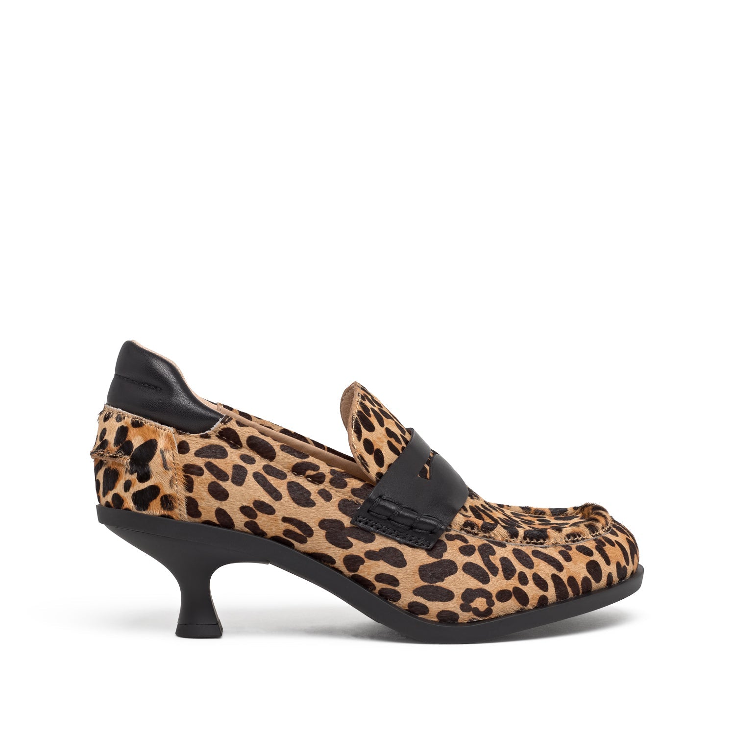 CHARLOTTE Leopard Brown/Black - ASH Spain - 