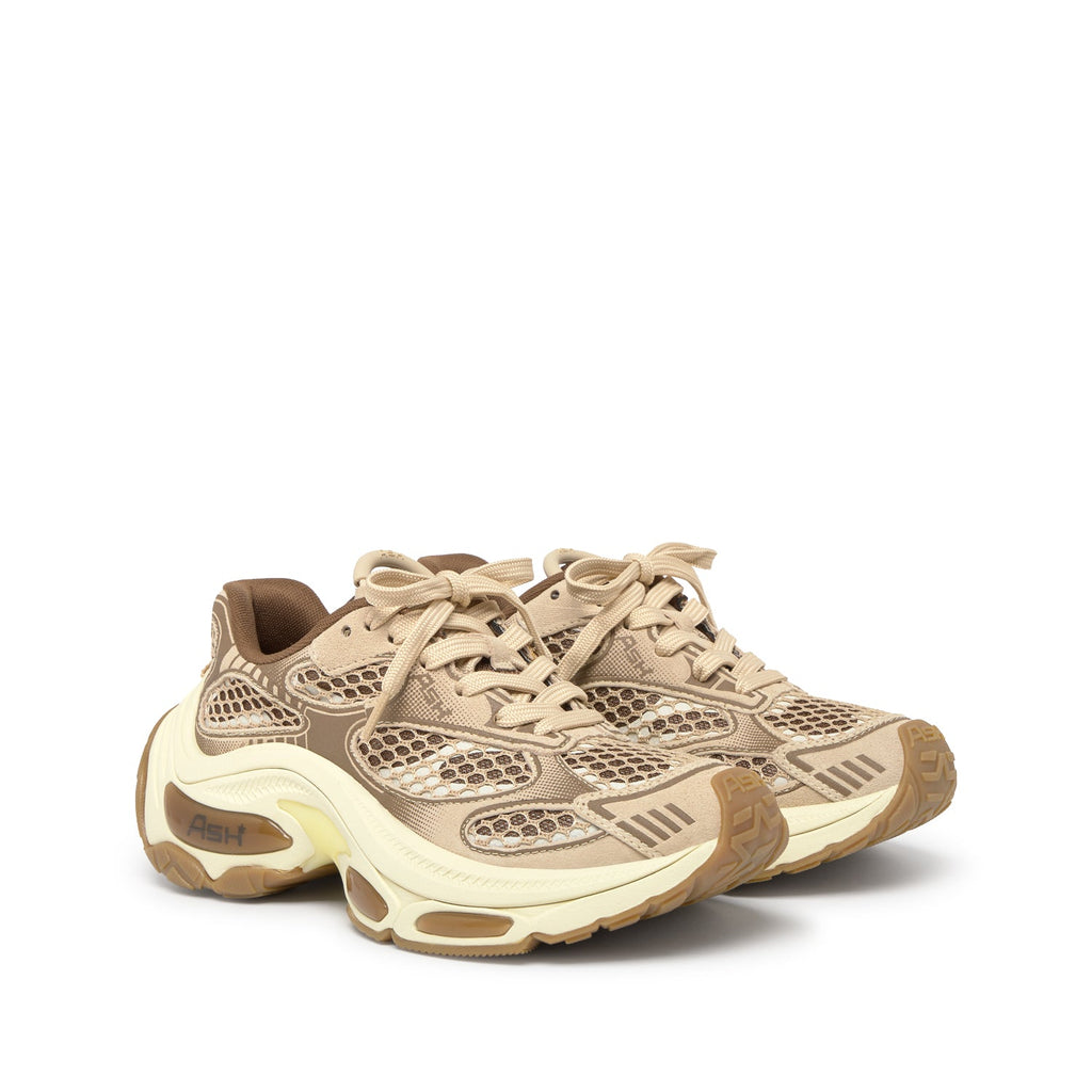 DRAGON Calf Suede Eggnug/Fandango - ASH Spain - FW25-S-150667-008