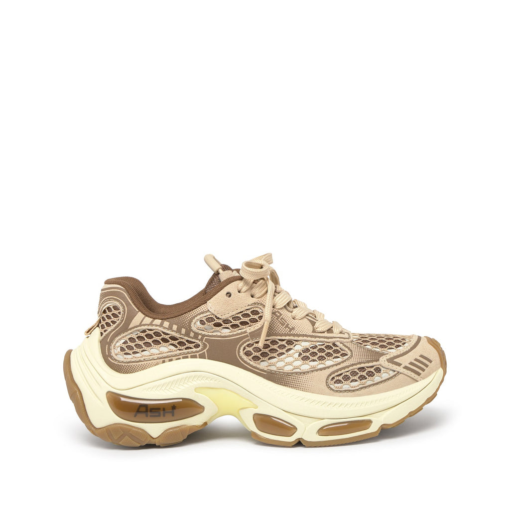 DRAGON Calf Suede Eggnug/Fandango - ASH Spain - FW25-S-150667-008