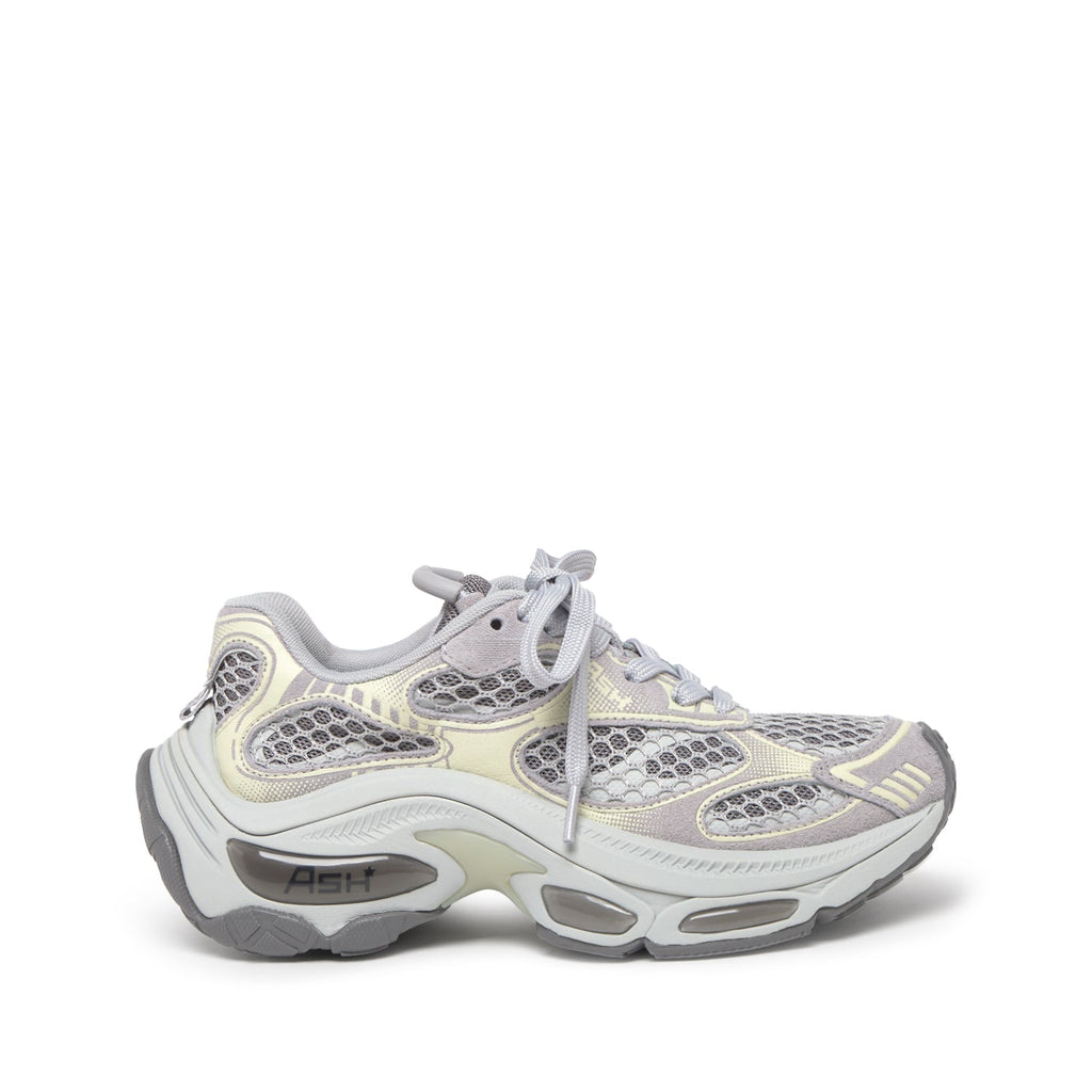 DRAGON Calf Suede Shadow/Grey - ASH Spain - FW25-S-150667-007