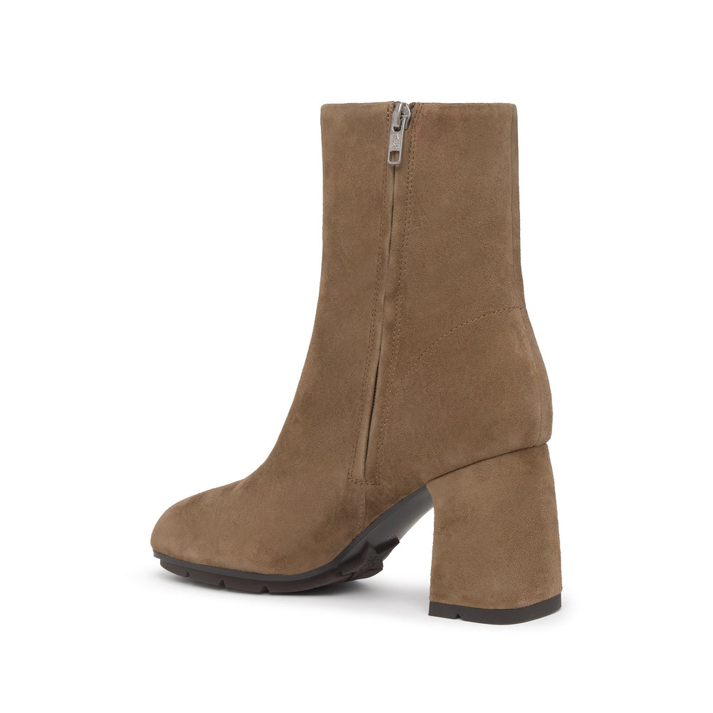 ECLAT Cachemere Fandango - ASH Spain - FW25-M-151807-002