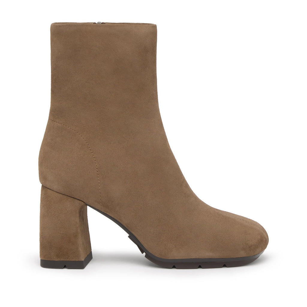 ECLAT Cachemere Fandango - ASH Spain - FW25-M-151807-002