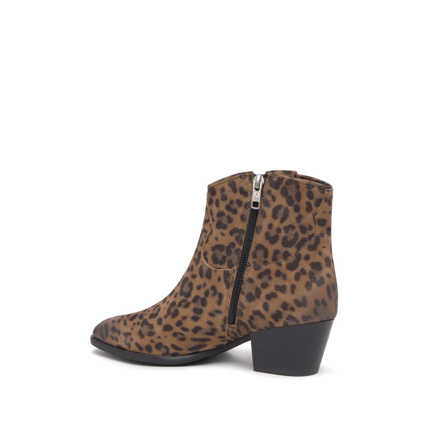 FAME Suede Leopardo Wilde - ASH Spain - FW25-M-138877-010