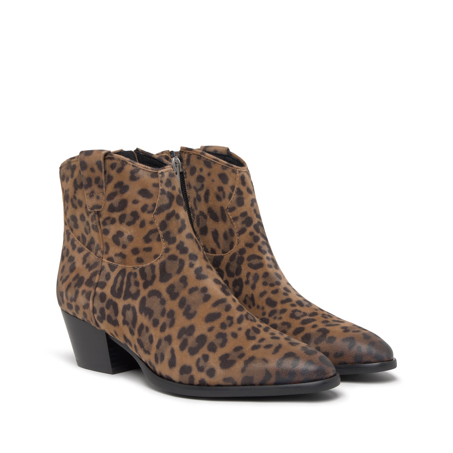 FAME Suede Leopardo Wilde - ASH Spain - FW25-M-138877-010