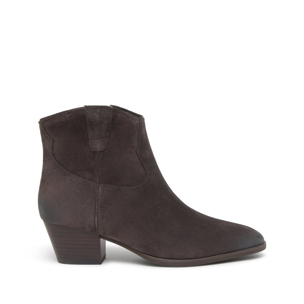 FAME Suede Velours Africa - ASH Spain - FW25-M-138877-009