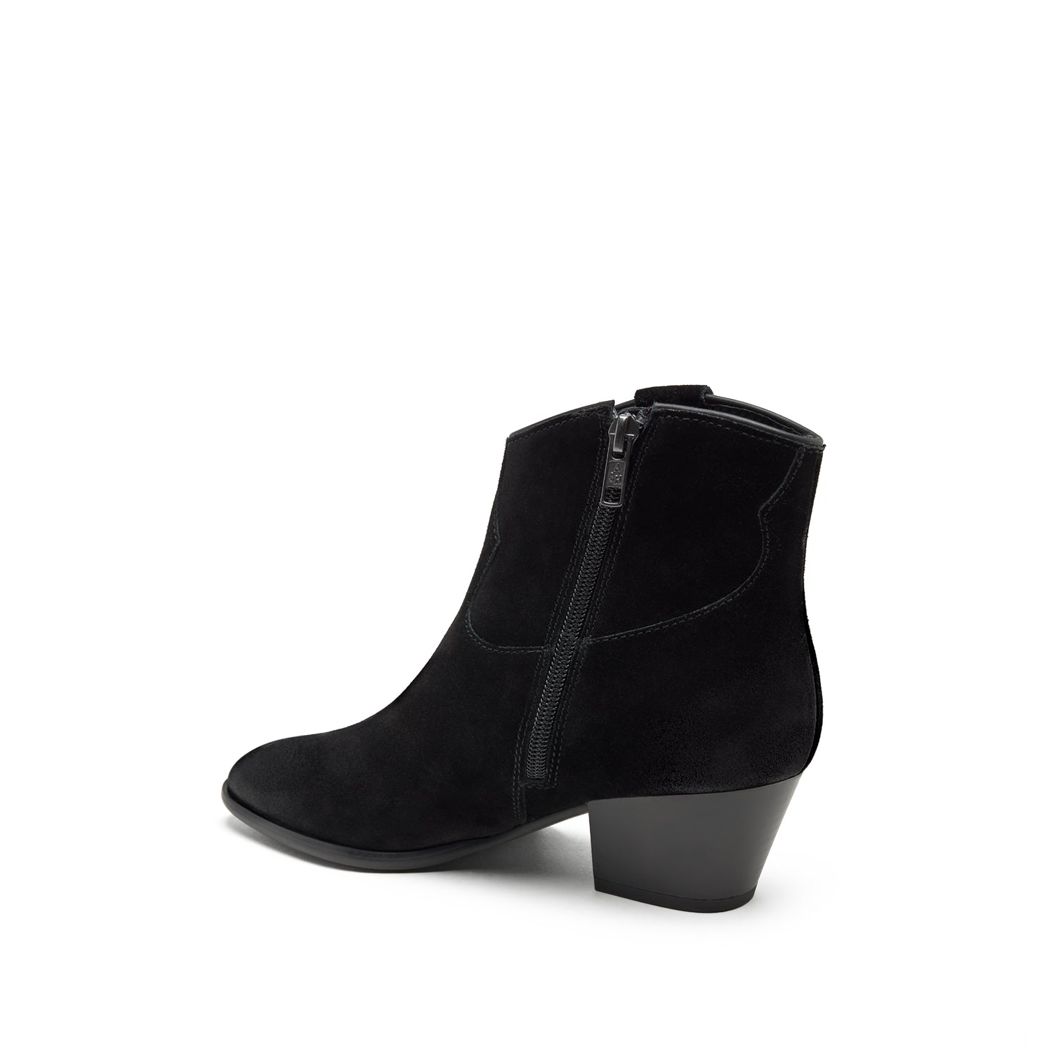 FAME Suede Velours Black - ASH Spain - FW25-M-138877-008