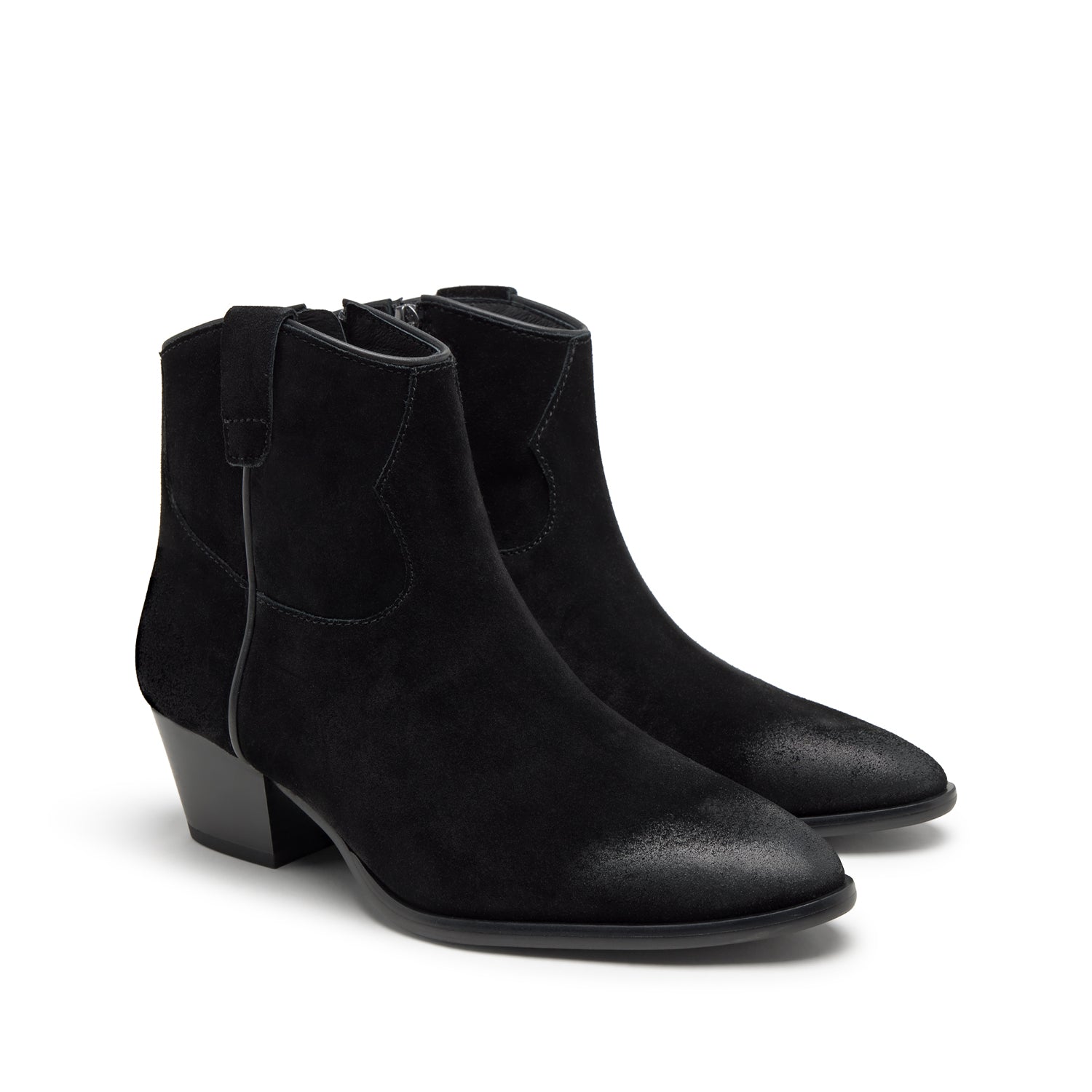 FAME Suede Velours Black - ASH Spain - FW25-M-138877-008