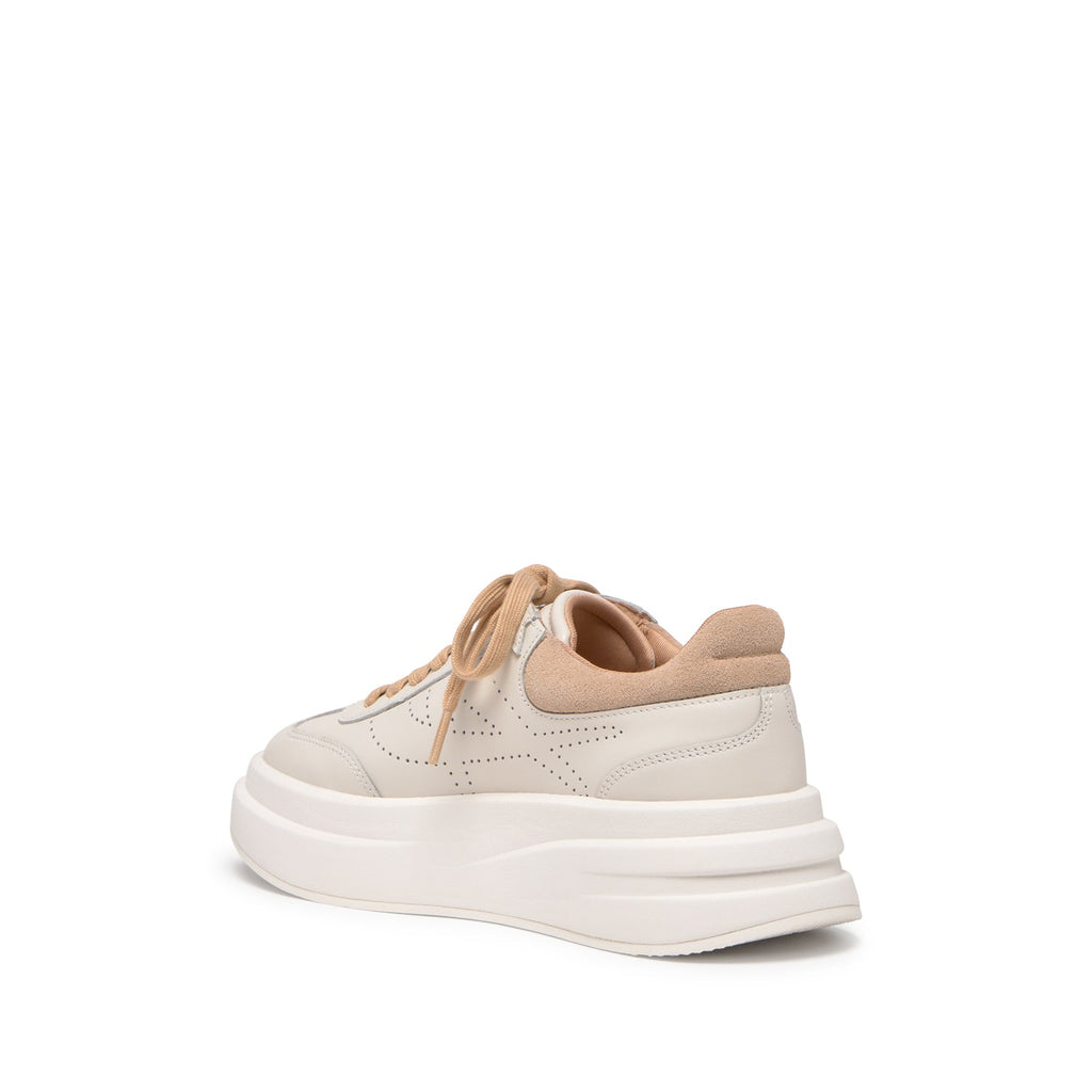 IDOL Nappa Calf Off White/Sand - ASH Spain - SS25-S-150596-003