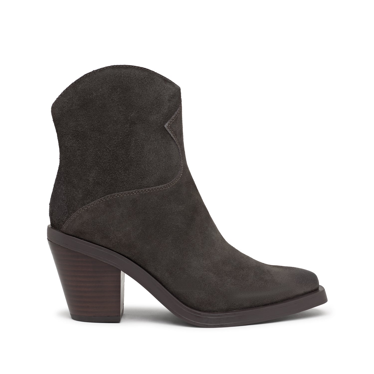 JUDY Suede Velours Bistro - ASH Spain - FW24-M-139737-002