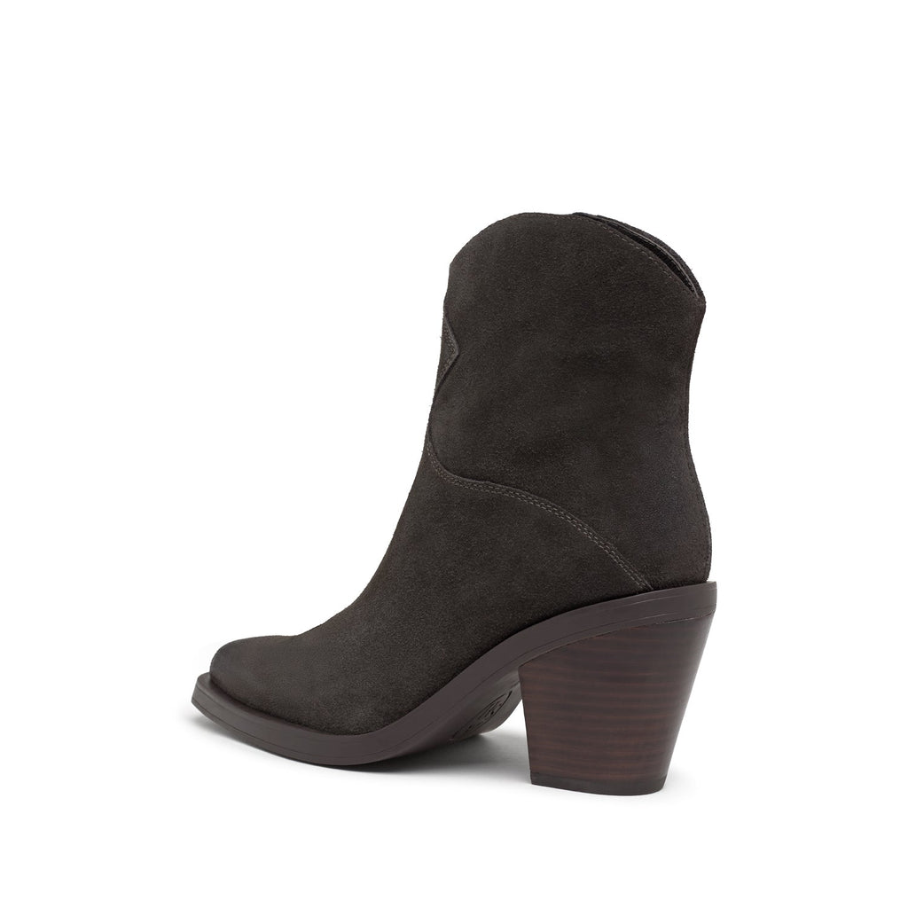 JUDY Suede Velours Bistro - ASH Spain - FW24-M-139737-002