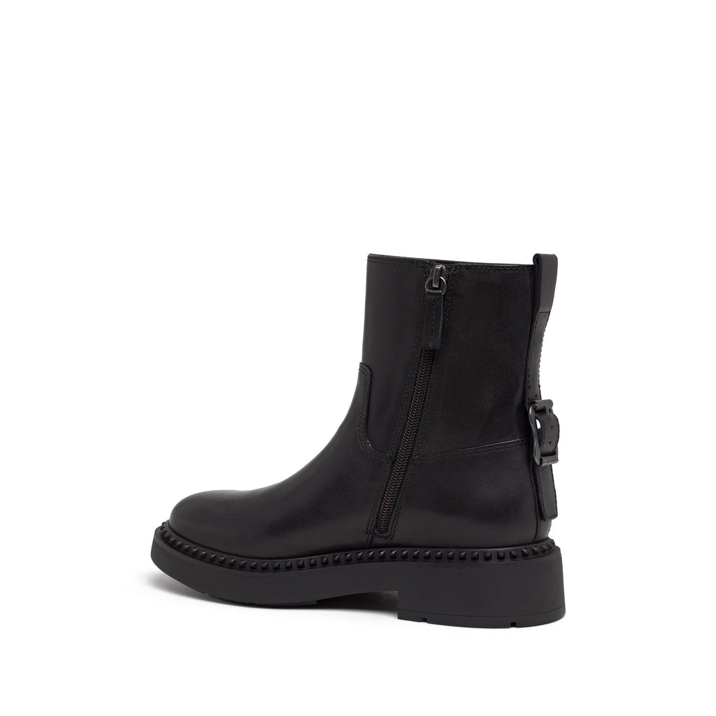 MAGNUM Soft Mustang Black - ASH Spain - FW24-M-139135-001