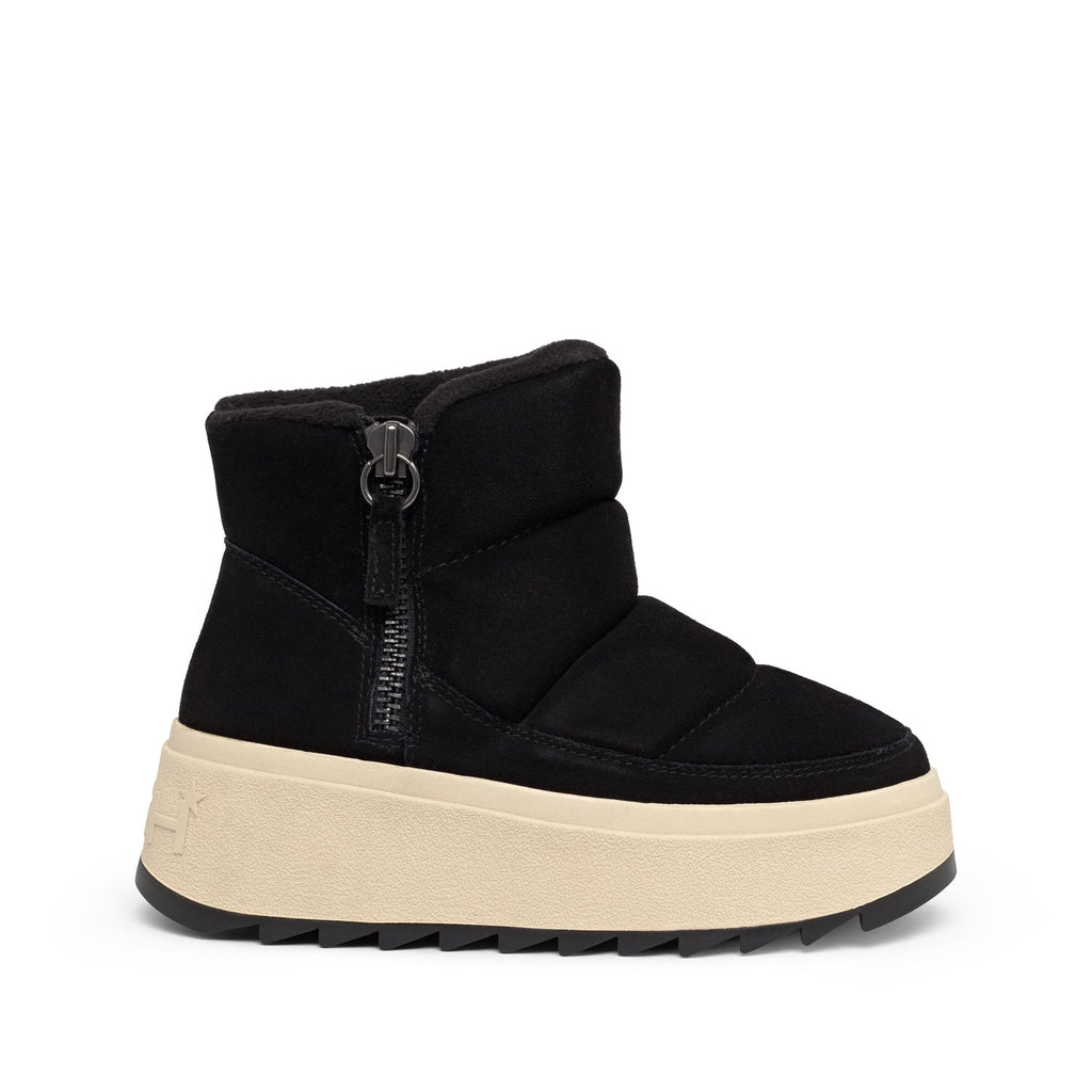 MALICA BIS Cow Suede Black - ASH Spain - FW24-S-139413-002