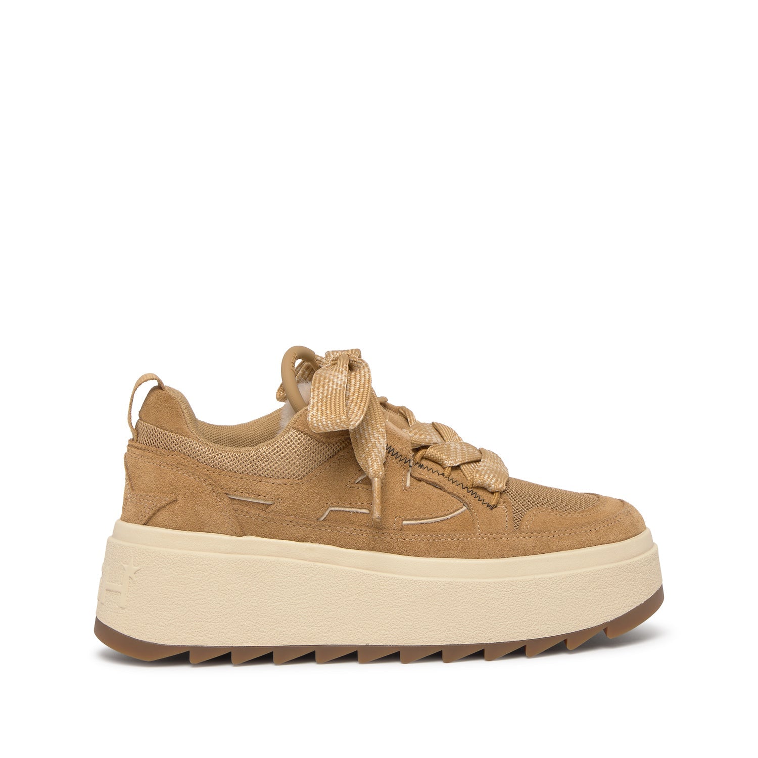 MOVIE Calf Suede Camel/Eggnug - ASH Spain - FW25-S-152140-001
