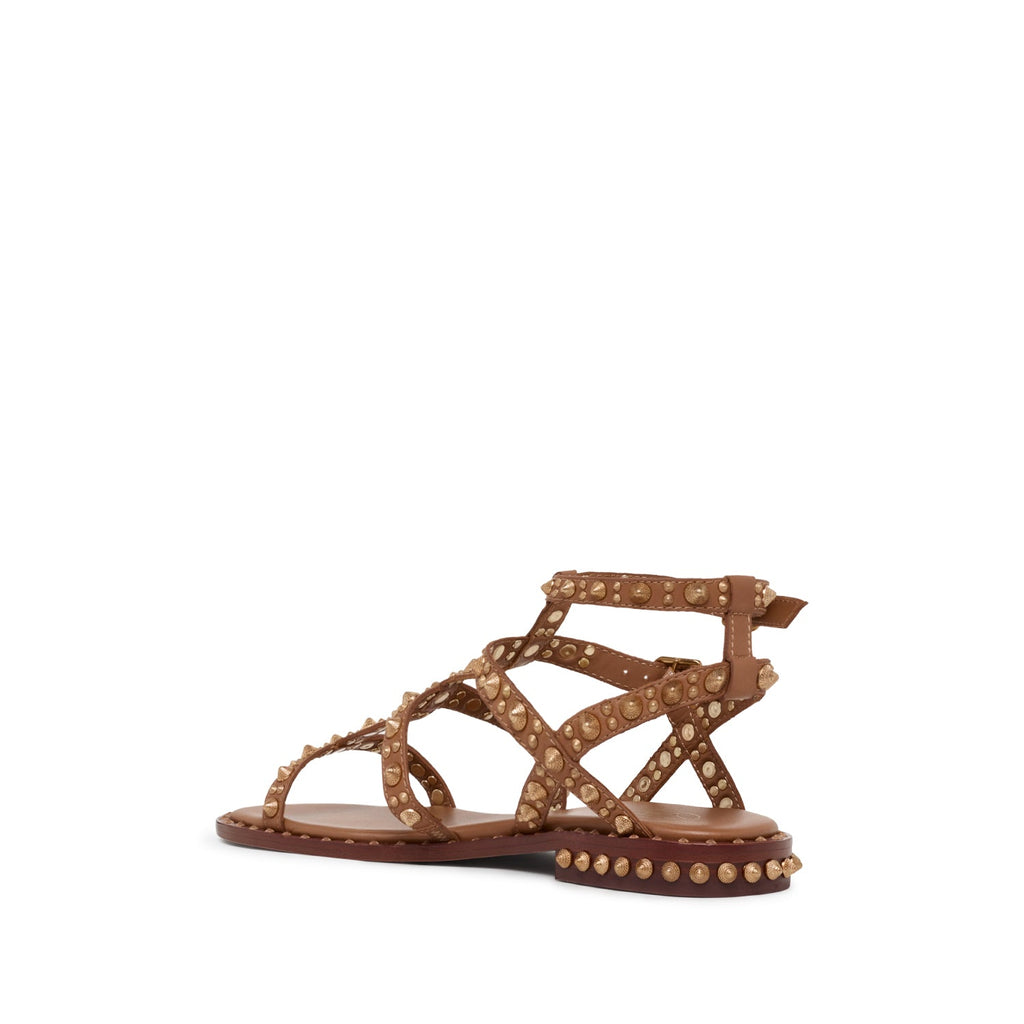 PEPSY Soft Brasil Cinnamon/Sun Gold Studs - ASH Spain - 