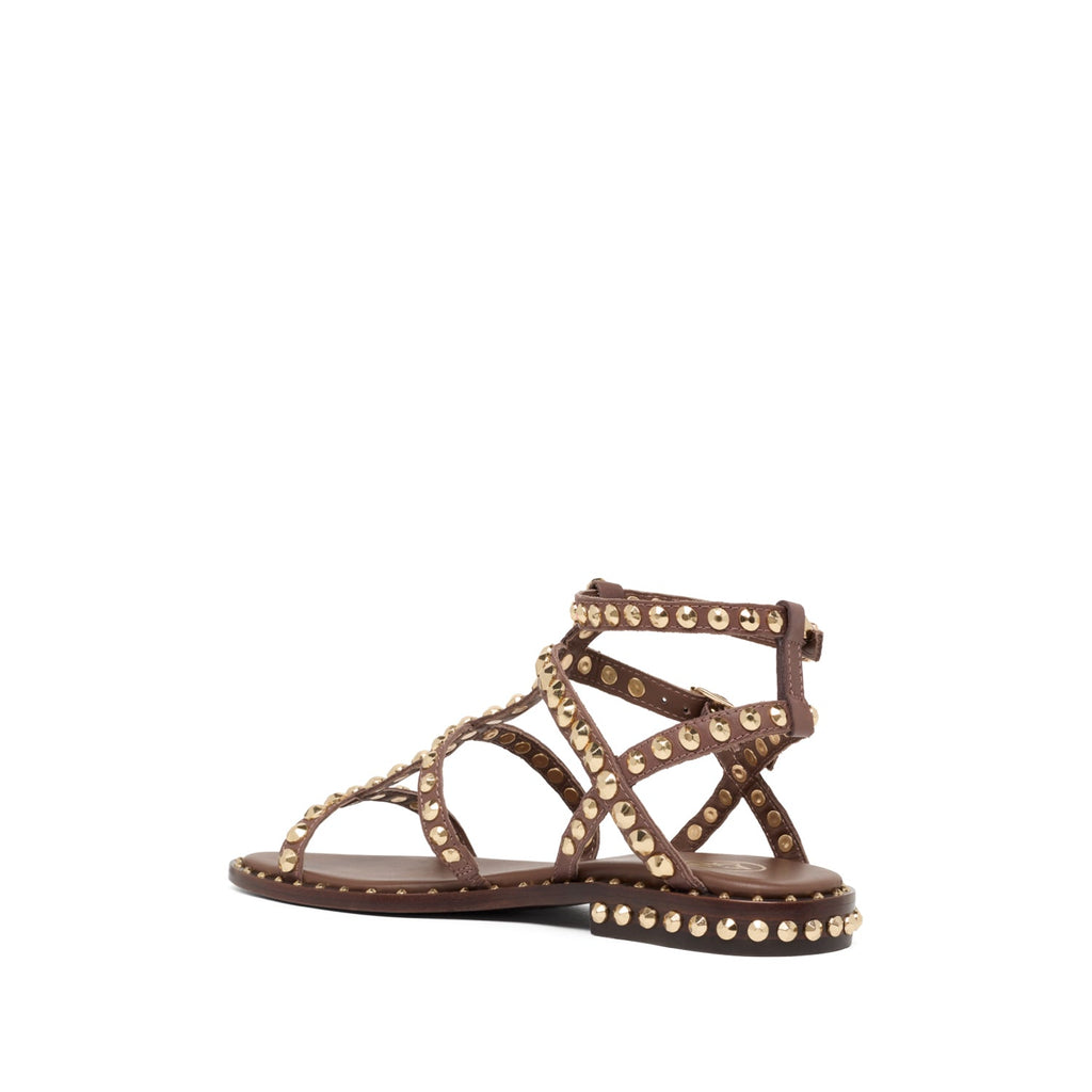 PRECIOUS Soft Brasil T. Moro/Ariel Gold Studs - ASH Spain - SS24-M-130289-004