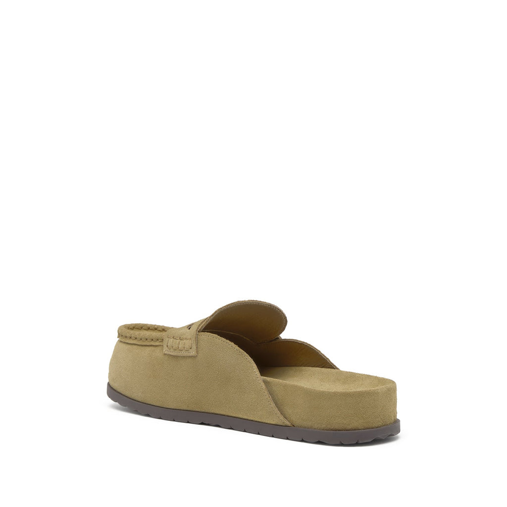 TRACY Suede Velours Cuoio - ASH Spain - SS25-M-150533-001